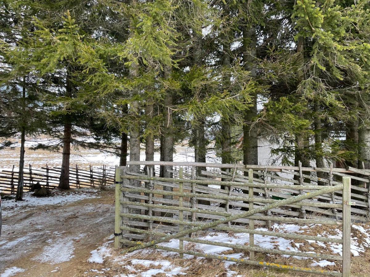 Teichalm Lodge Landhaus Fladnitz an der Teichalm Eksteriør billede